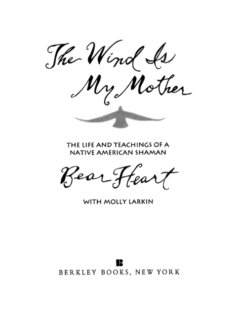 Cover image for book The Wind Is My Mother