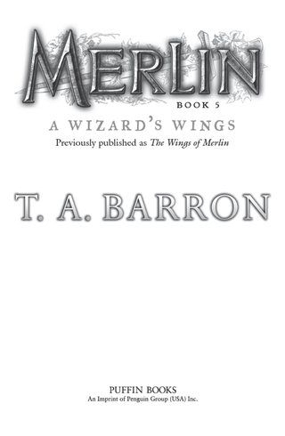 The Wizard's Wings
