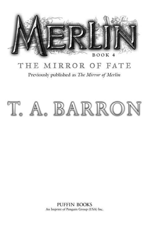 Cover image for book The Mirror of Fate