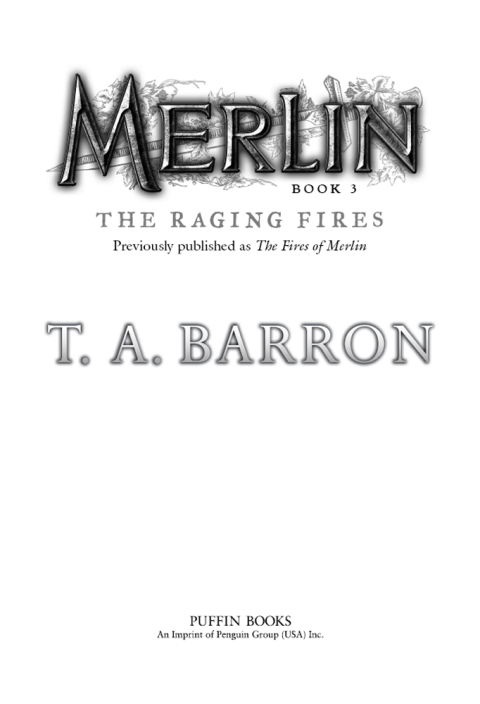 Cover image for book The Raging Fires