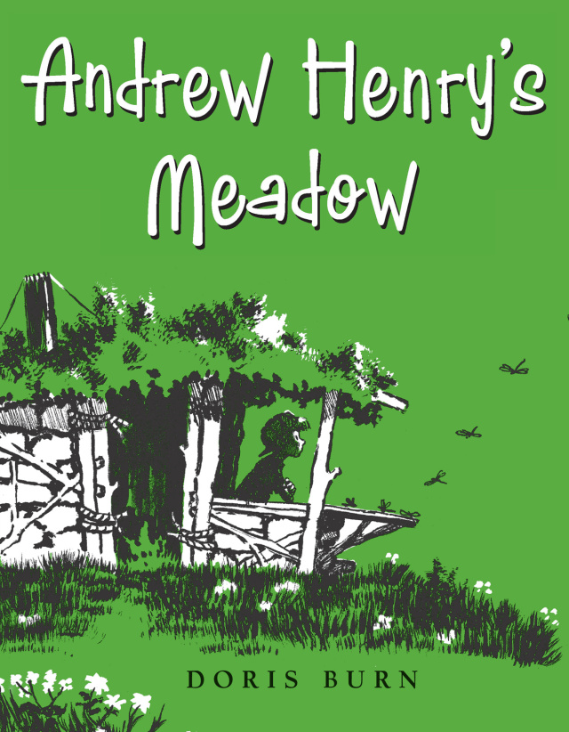 Andrew Henry's Meadow