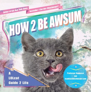 How 2 Be Awsum
