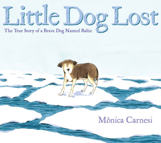 Little Dog Lost