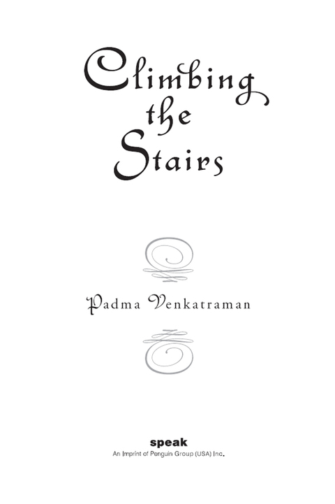 Cover image for book Climbing the Stairs