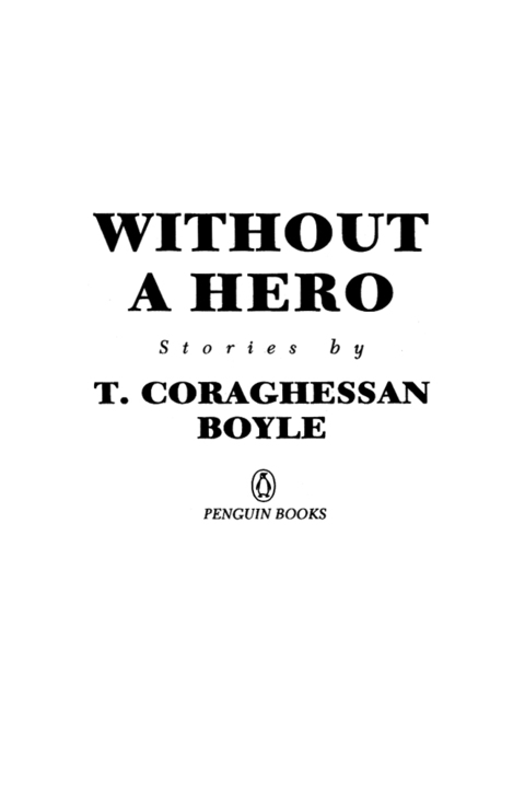 Cover image for book Without a Hero