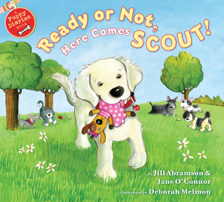 Ready or Not, Here Comes Scout