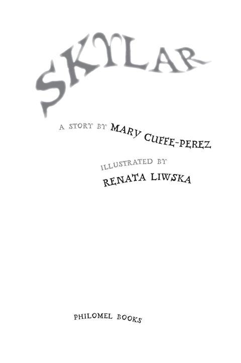 Cover image for book Skylar