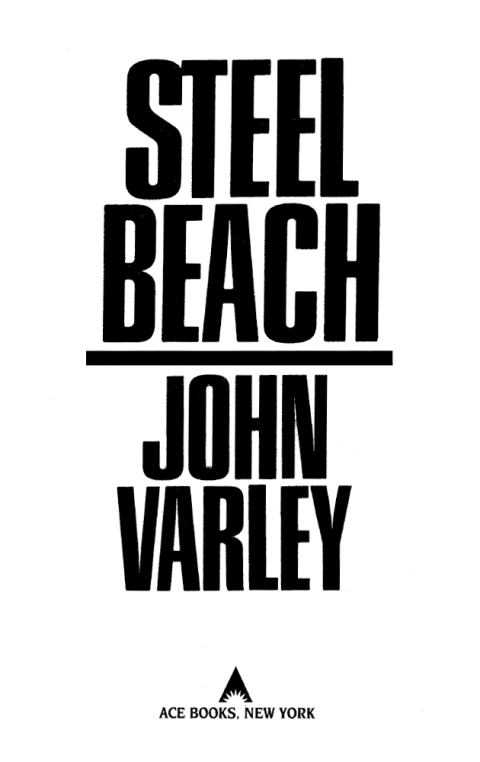 Cover image for book Steel Beach