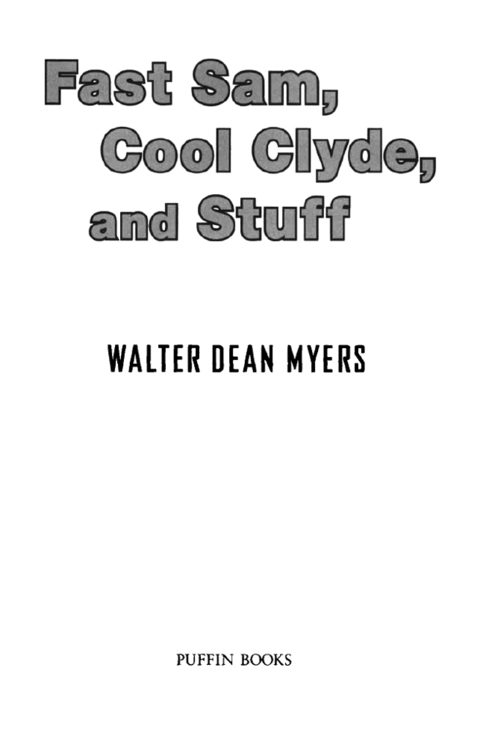 Cover image for book Fast Sam, Cool Clyde, and Stuff