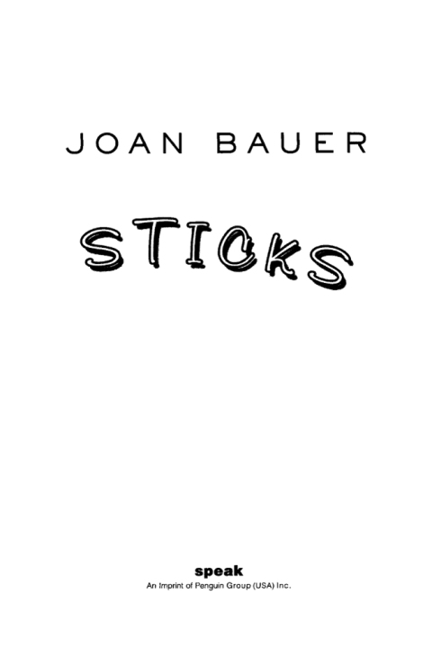 Cover image for book Sticks