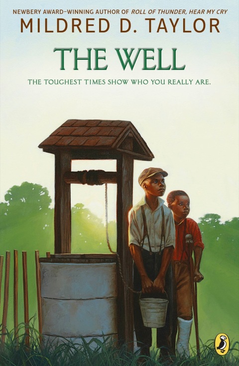 Cover image for book The Well