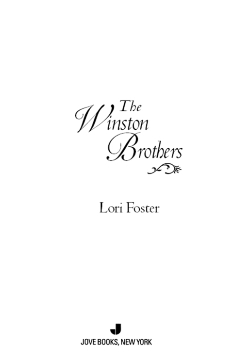 Cover image for book The Winston Brothers