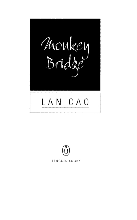 Cover image for book Monkey Bridge