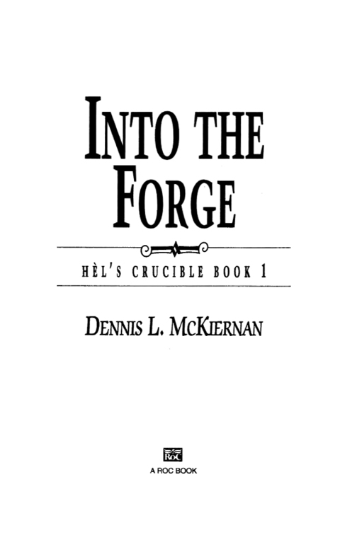 Cover image for book Into the Forge