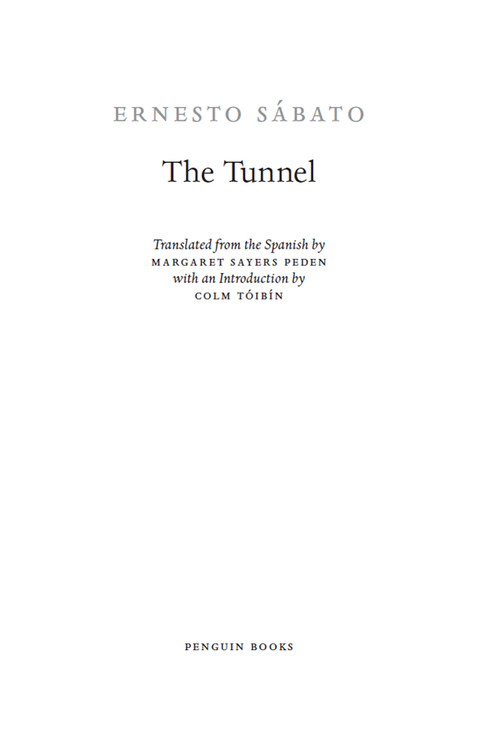 Cover image for book The Tunnel