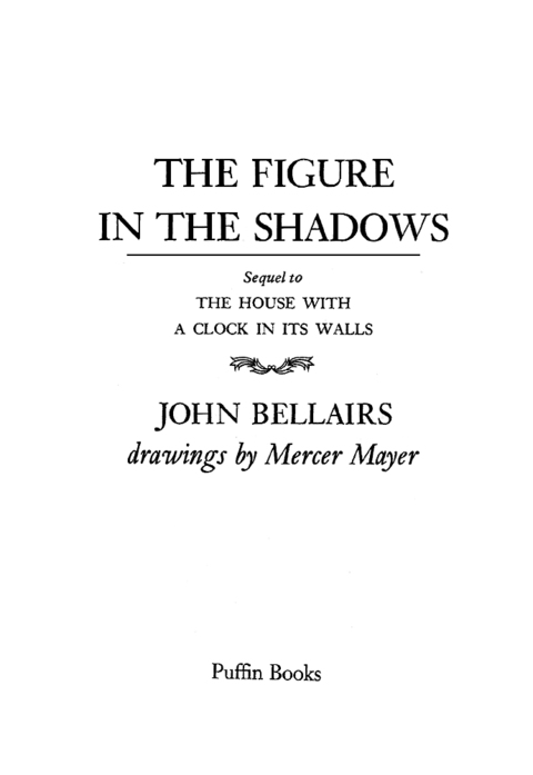 Cover image for book The Figure In the Shadows
