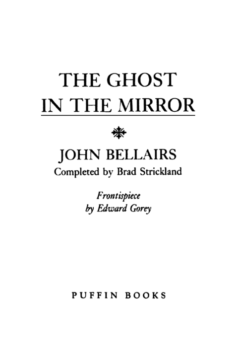 Cover image for book The Ghost in the Mirror