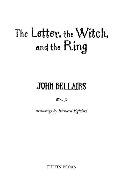 Cover image for book The Letter, the Witch, and the Ring