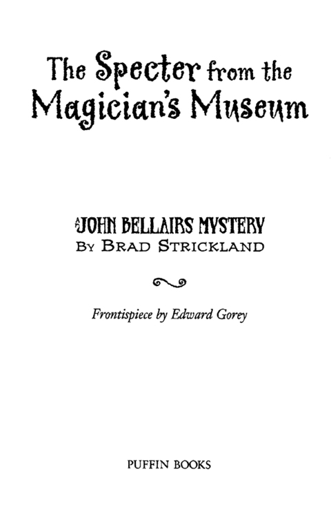 Cover image for book The Specter From the Magician's Museum