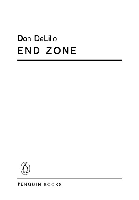 Cover image for book End Zone