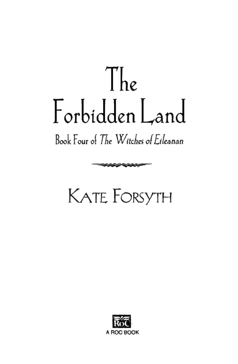 Cover image for book The Forbidden Land