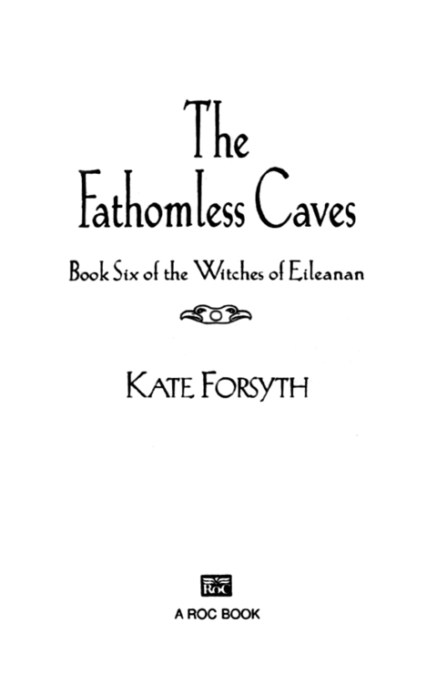Cover image for book The Fathomless Caves