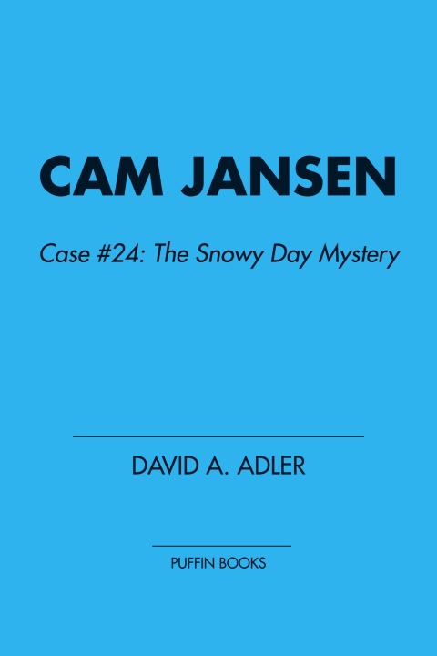 Cover image for book Cam Jansen: The Snowy Day Mystery #24