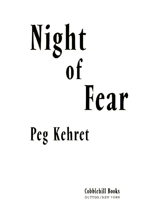 Cover image for book Night of Fear