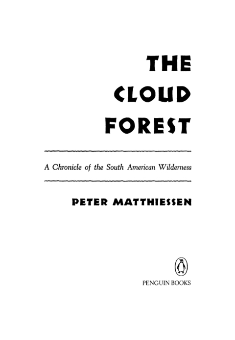 Cover image for book The Cloud Forest