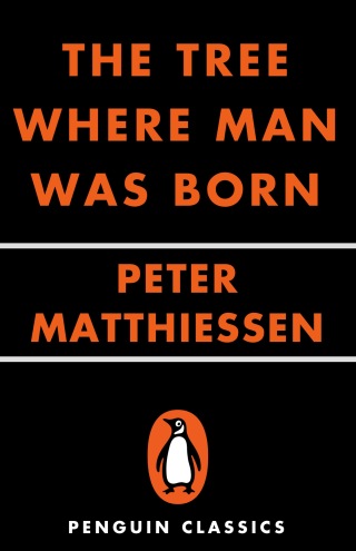 The Tree Where Man Was Born