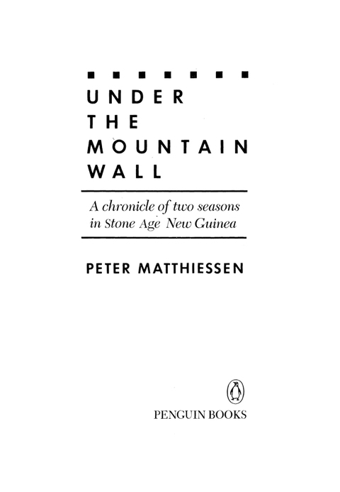 Cover image for book Under the Mountain Wall