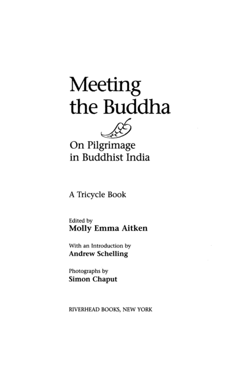 Cover image for book Meeting the Buddha