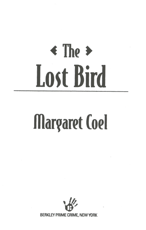Cover image for book The Lost Bird