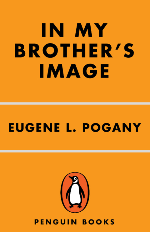 Cover image for book In My Brother's Image