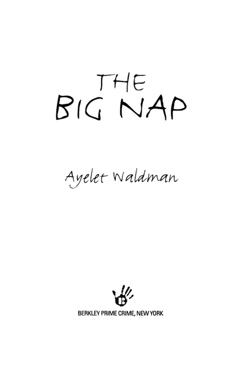 Cover image for book The Big Nap