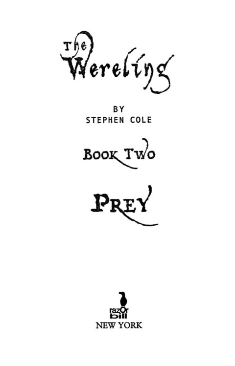 Cover image for book Prey
