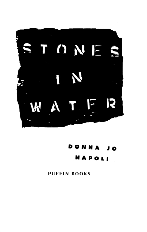 Cover image for book Stones in Water