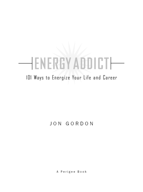 Cover image for book Energy Addict