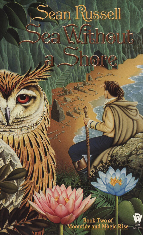 Cover image for book Sea Without a Shore
