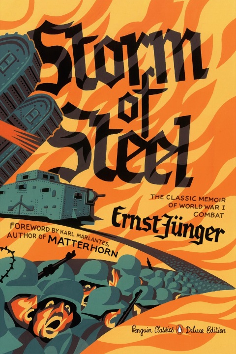 Cover image for book Storm of Steel