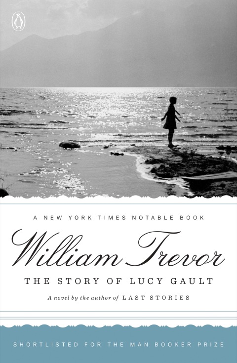 Cover image for book The Story of Lucy Gault