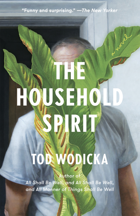 Cover image for book The Household Spirit