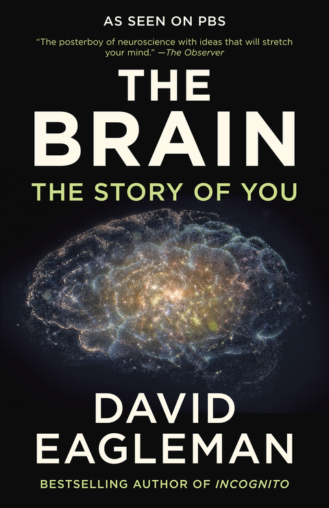 Cover image for book The Brain