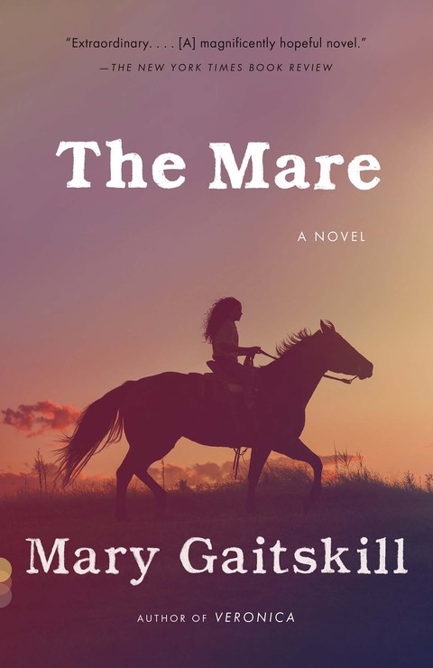 Cover image for book The Mare