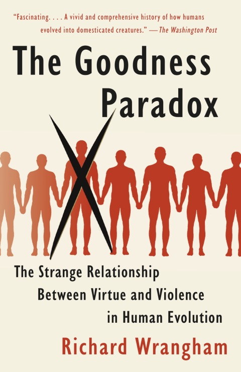 Cover image for book The Goodness Paradox