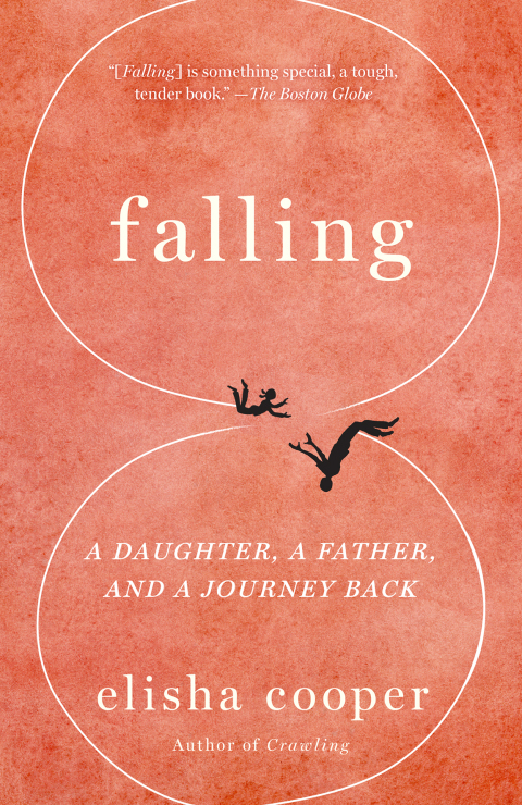 Cover image for book Falling