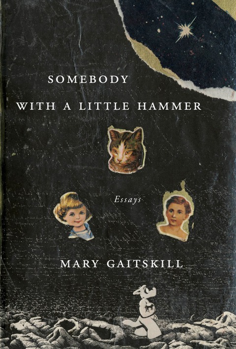 Cover image for book Somebody with a Little Hammer