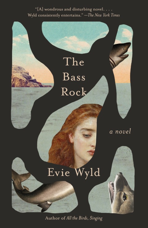 Cover image for book The Bass Rock