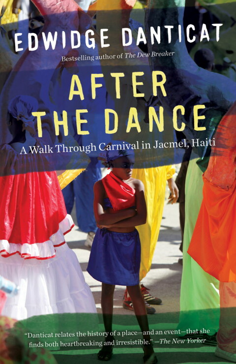 Cover image for book After the Dance