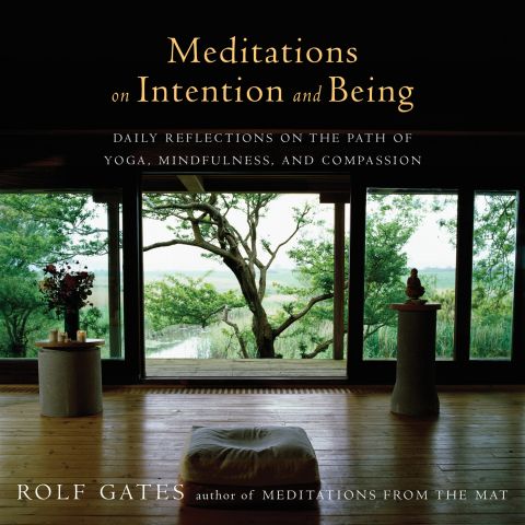 Cover image for book Meditations on Intention and Being